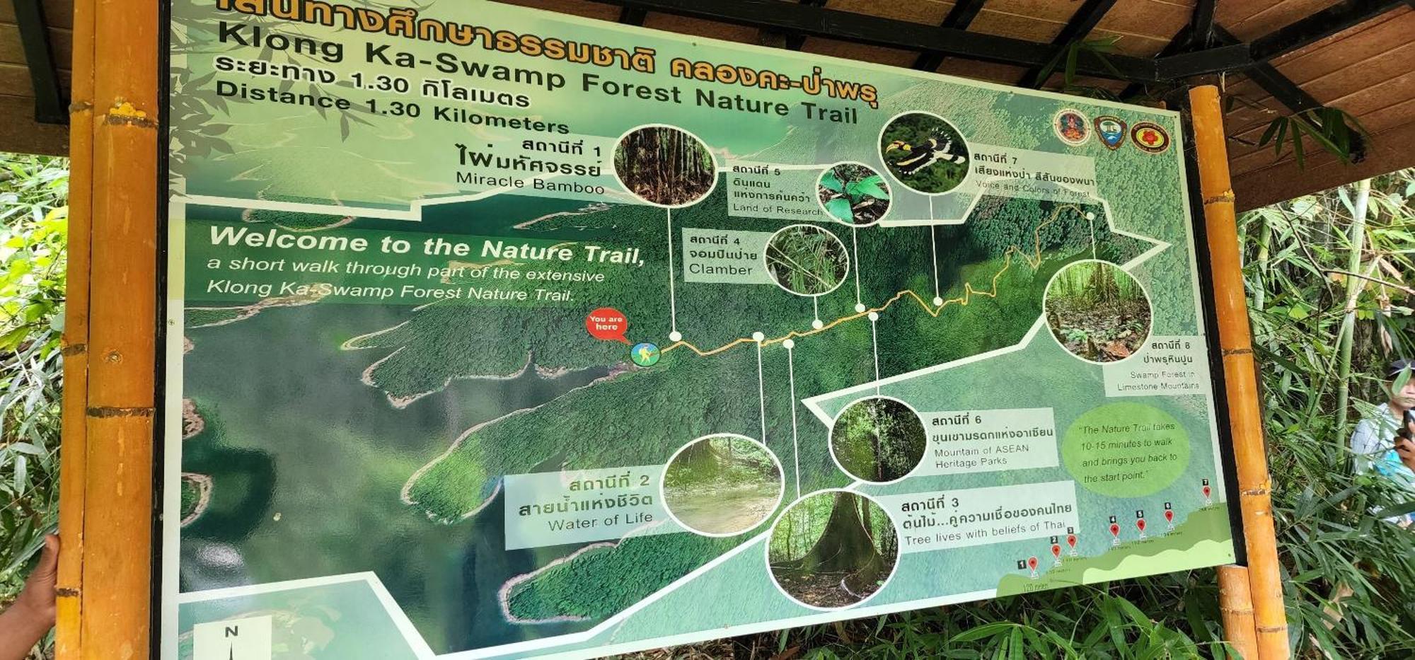 Bed and Breakfast Khaosok Happy House Khao Sok National Park Екстер'єр фото